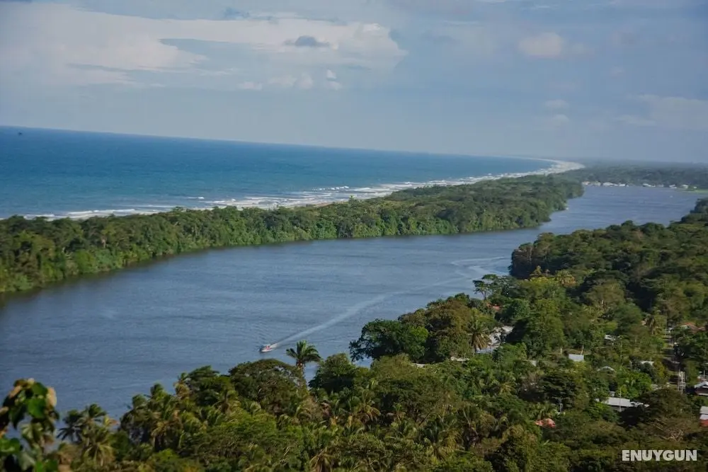 Hotel El Icaco Tortuguero - Dış Mekanlar