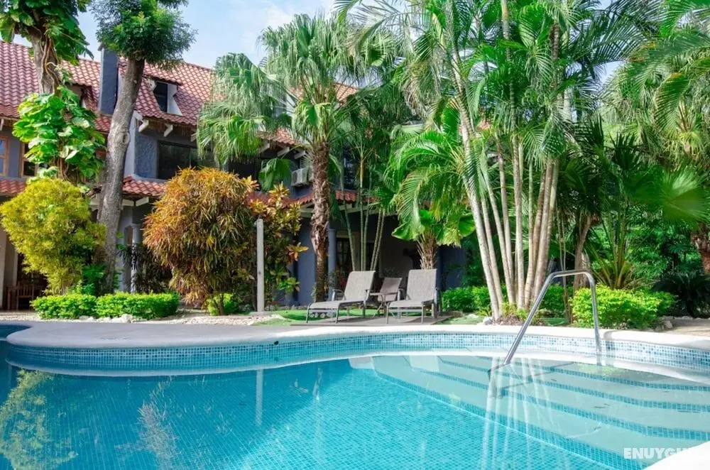 Hotel El Manglar - Öne Çıkan Resim