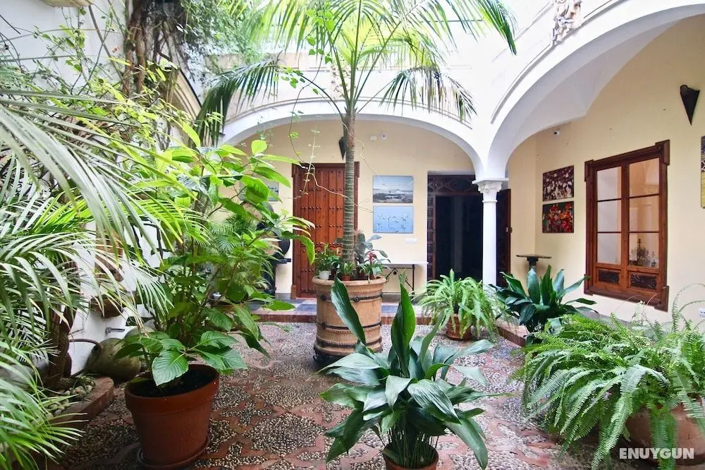 El Palace del Puerto - Öne Çıkan Resim
