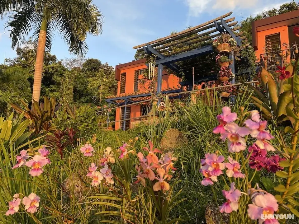 El Pequeño Hotel - Dış Mekan