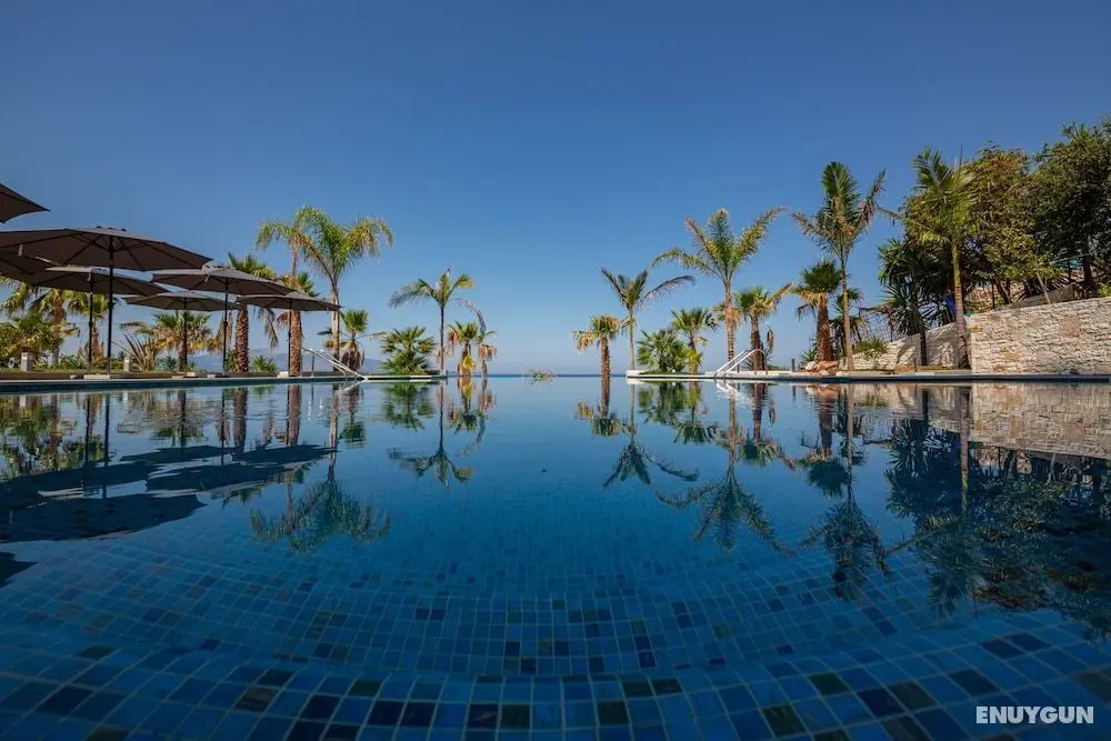 El Primero Hotel - Öne Çıkan Resim