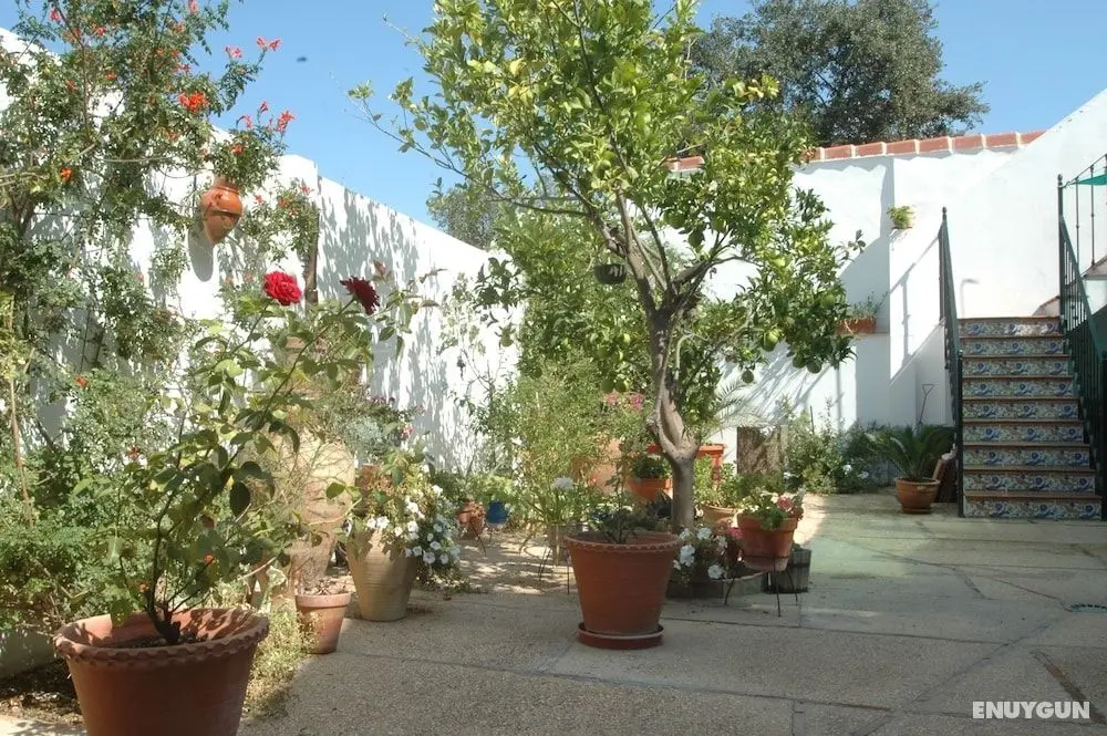 El Romerito - Oda Düzeni