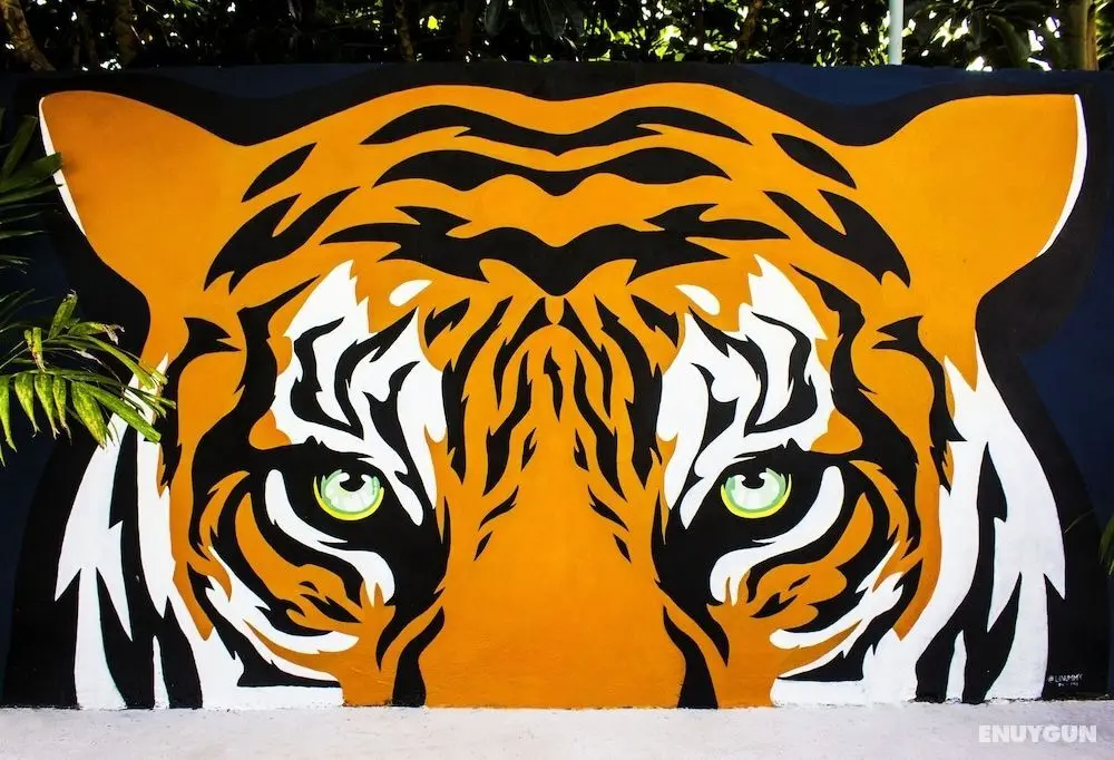 El Tigre de Santiago - Öne Çıkan Resim