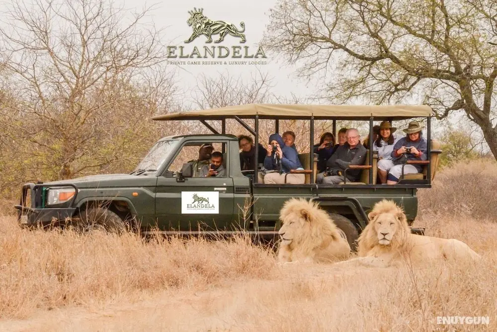 Elandela Private Game Reserve & Luxury Lodge - Öne Çıkan Resim