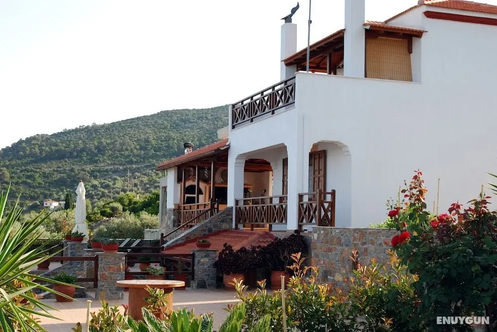 Villa Elena - Öne Çıkan Resim