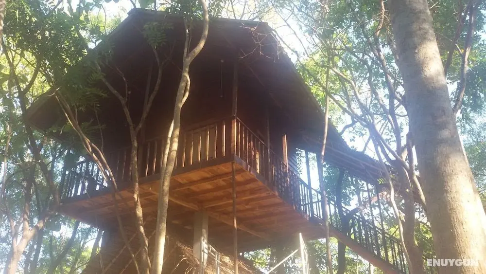 Elephant corridori camping - Oda Manzaraları
