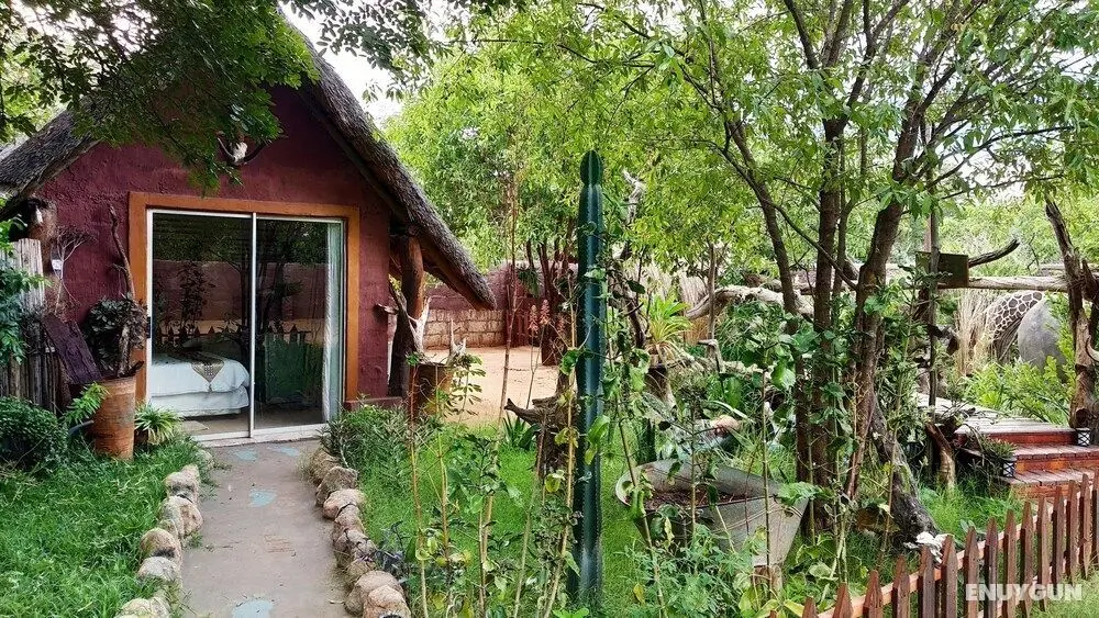 Elephant Trail Guesthouse and Backpackers - Oda