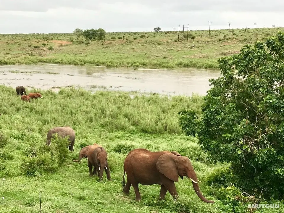ELEPHANT WALK RETREAT - Genel