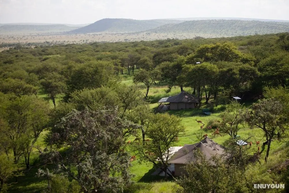 Elewana Serengeti Pioneer Camp - Dış Mekan