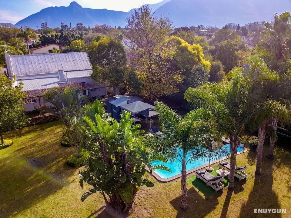 Elianthe Boutique Guesthouse - Havuz