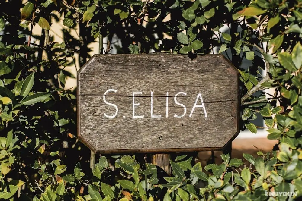 Elisa Farmhouse Apartment in Wine Resort in Lucca - Oda