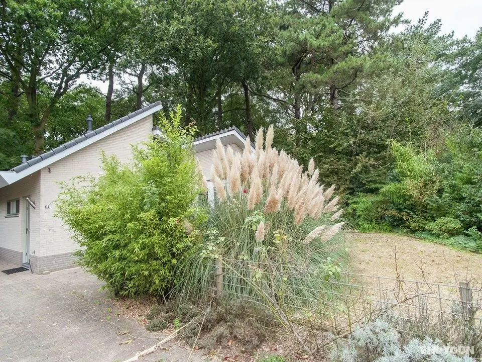 Elite Holiday Home in North Holland near Forest - Öne Çıkan Resim