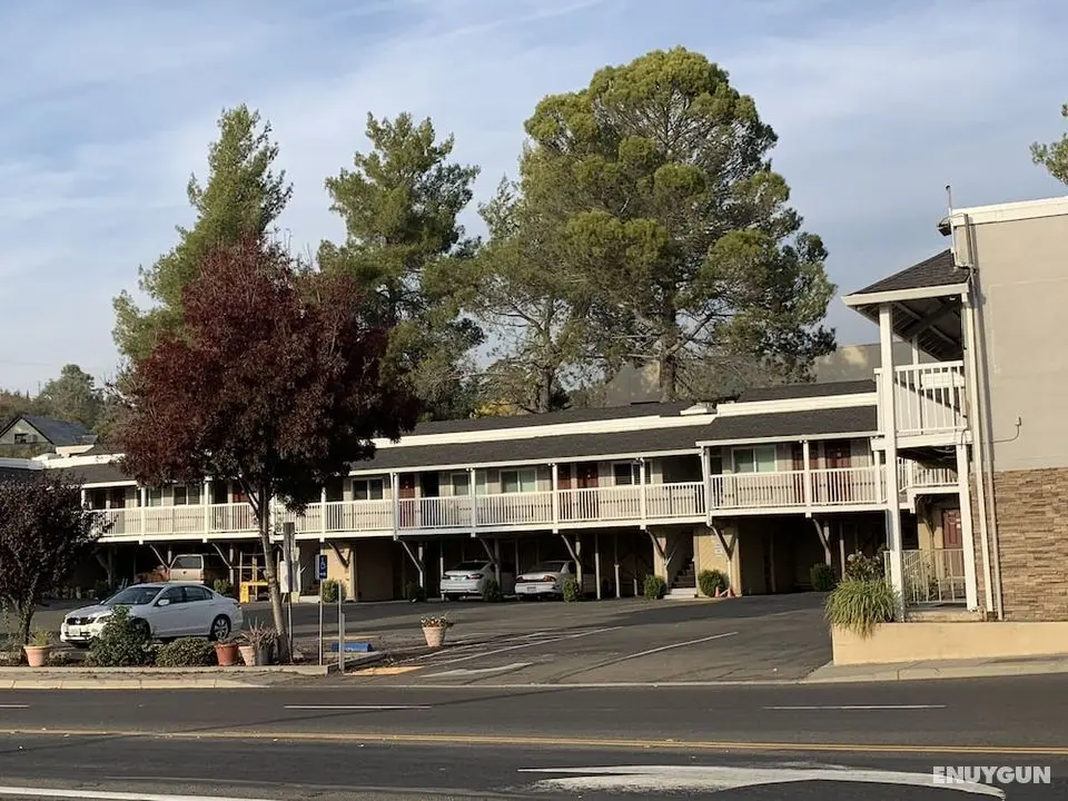 Elmwood Motel - Dış Mekan