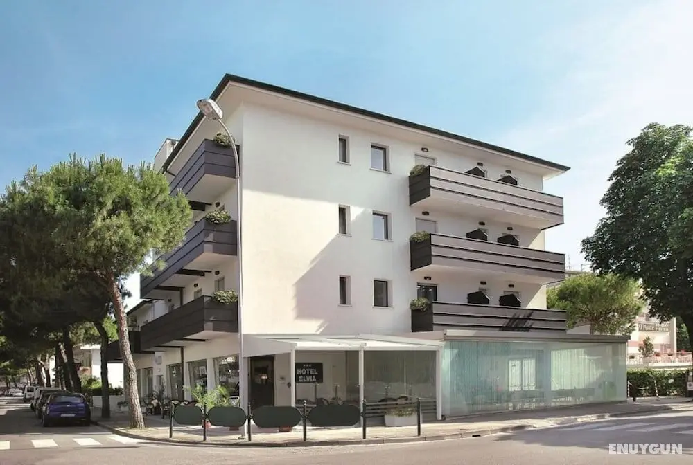 Hotel Elvia - Öne Çıkan Resim