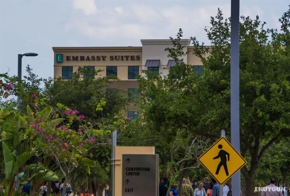 Embassy Suites by Hilton McAllen / Convention Cent - Genel