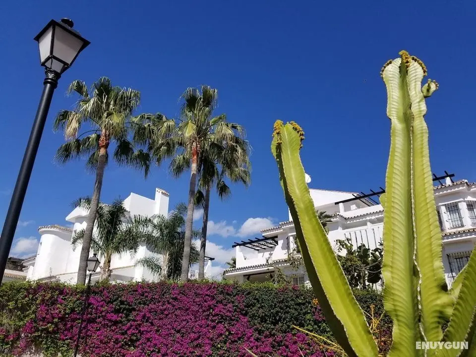 Villa en Senorio de Gonzaga - Öne Çıkan Resim