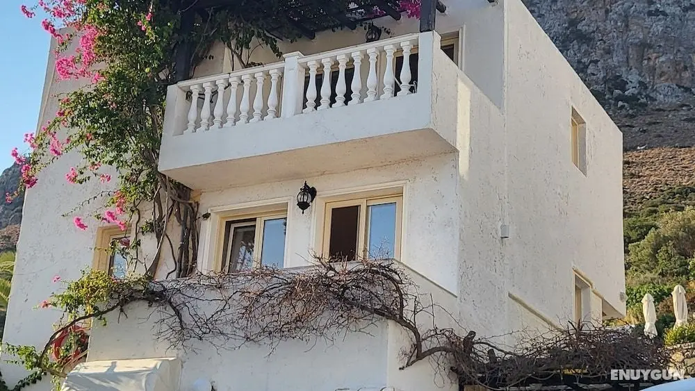 Entire Villa Full View 3 Bedrooms 3 Bathrooms 3 Kitchens - Öne Çıkan Resim