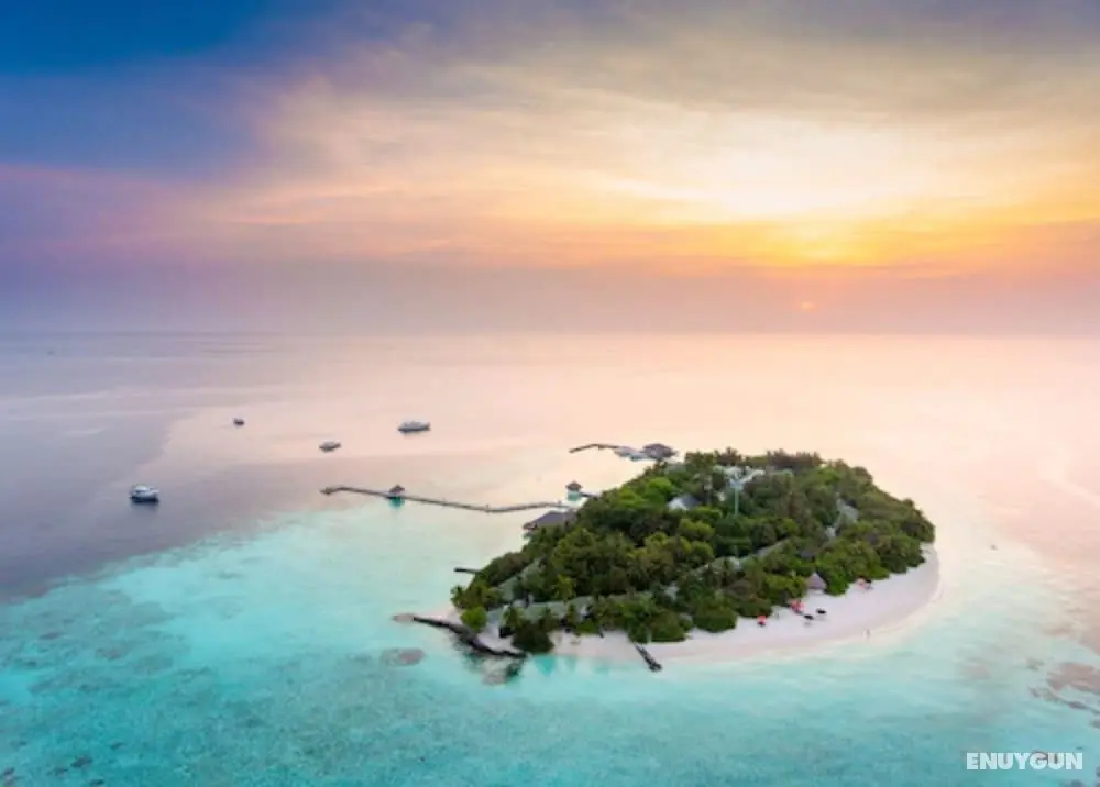 Eriyadu Island Resort - Öne Çıkan Resim
