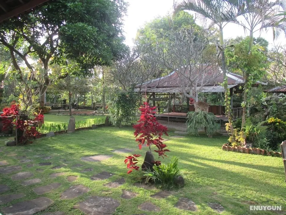ESA di Kubu Homestay - Öne Çıkan Resim