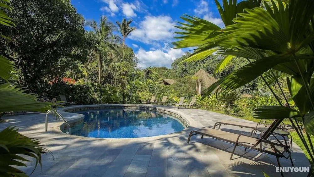 Esquinas Rainforest Lodge - Öne Çıkan Resim