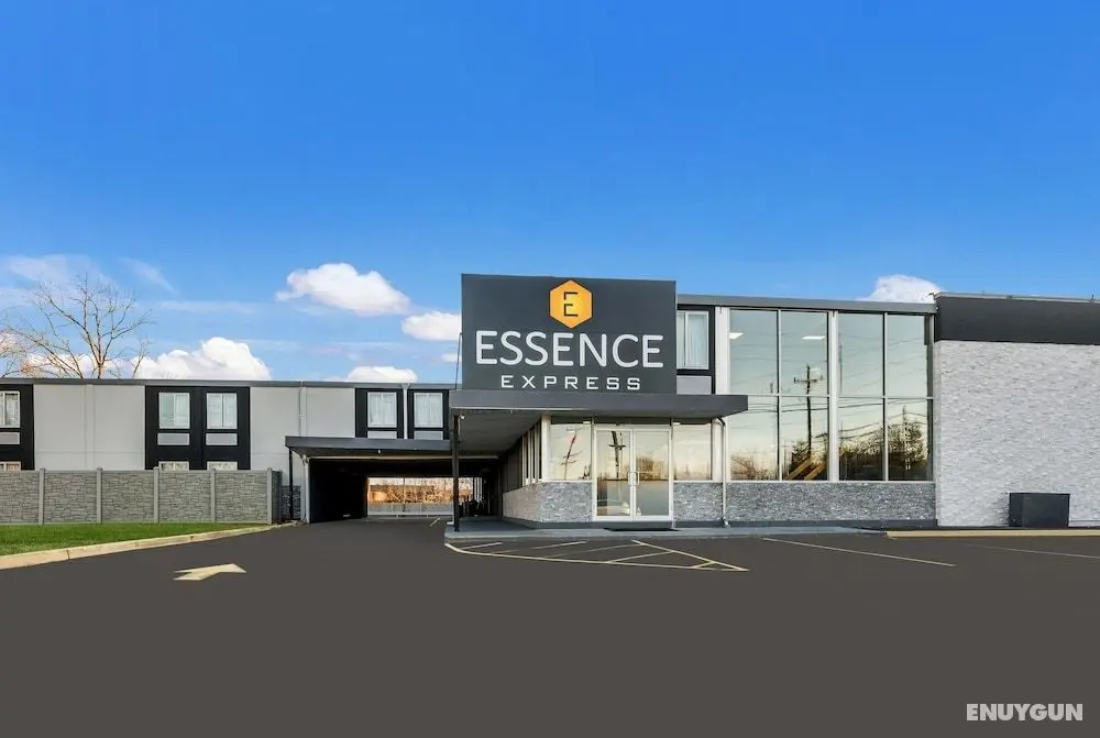 Essence Express Wayne - Öne Çıkan Resim