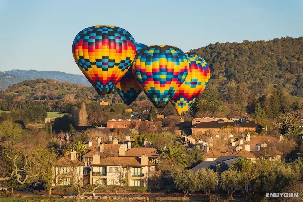 The Estate Yountville - Öne Çıkan Resim