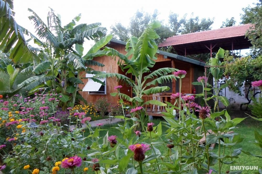 Estelar Bungalows