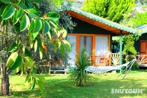Etenna Beach Bungalows - Genel