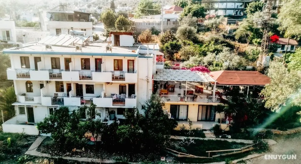Eucalyptus Pension - Öne Çıkan Resim