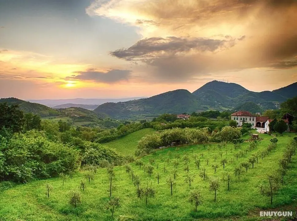 Villa on the Euganean Hills, With Breathtaking Views - Dış Mekan