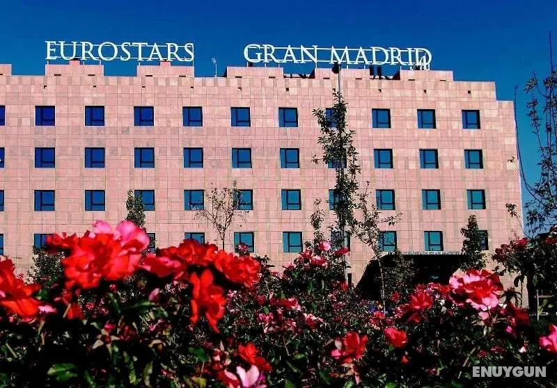 Eurostars Gran Madrid - Genel