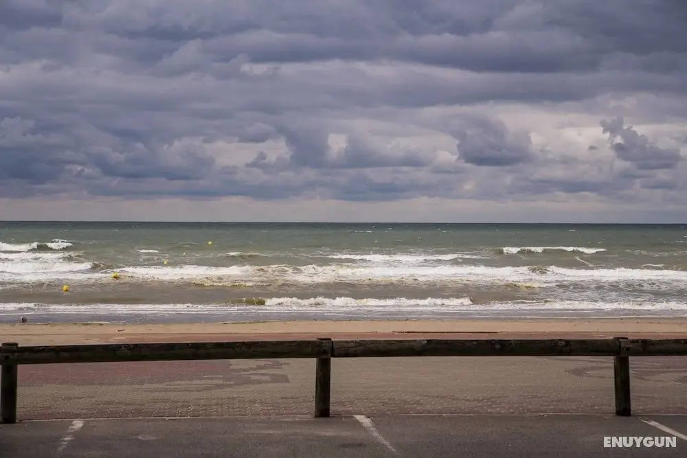 Evancy Bray-Dunes Etoile de mer - Oda Manzaraları