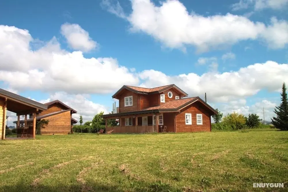 Evolution Wood Accommodation - Öne Çıkan Resim