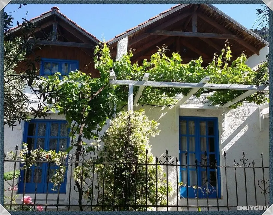 Exclusive Cottages are in S West Crete in a Quiet Olive Grove Near the sea - Dış Mekan