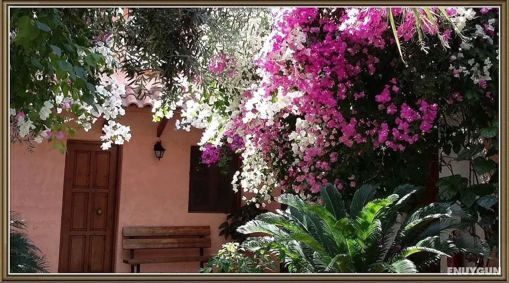 Excusive 1 Bedroom Cottage in Paleochora - Öne Çıkan Resim