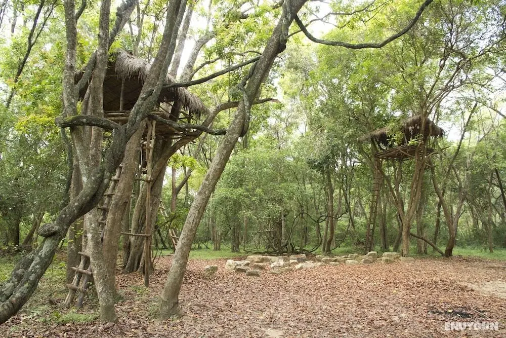 Explorer by eco team -Dambana - Dış Mekan
