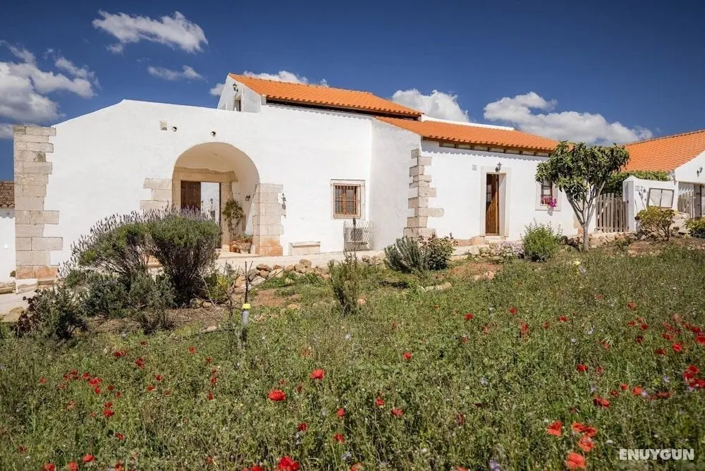 F - Casa Palheiro in Quinta das Alagoas - Öne Çıkan Resim