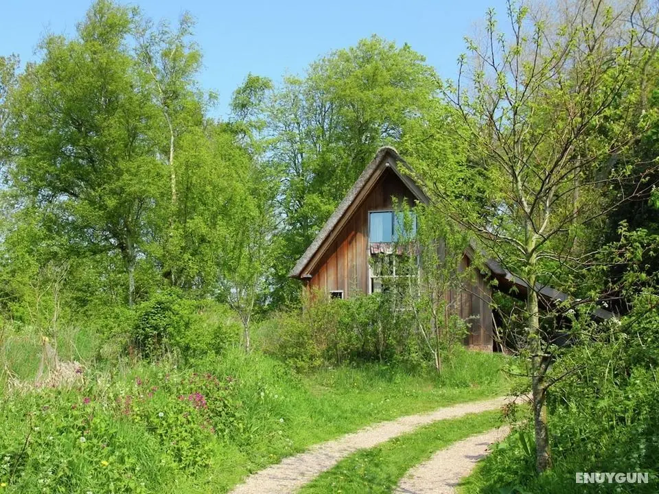 Fairytale Cottage Nestled Between Forest and Village Within Cycling Distance of Bergen aan Zee - Öne Çıkan Resim