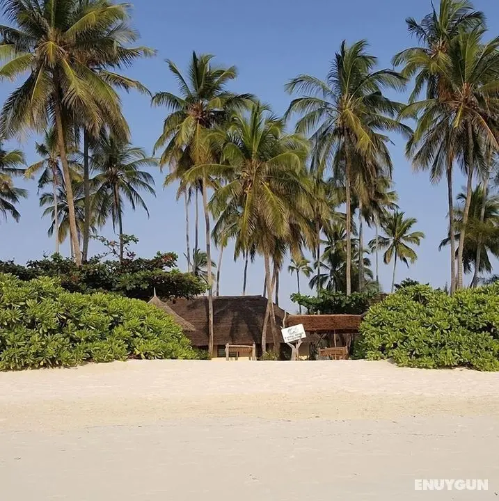 Family Beach Bungalows - Öne Çıkan Resim