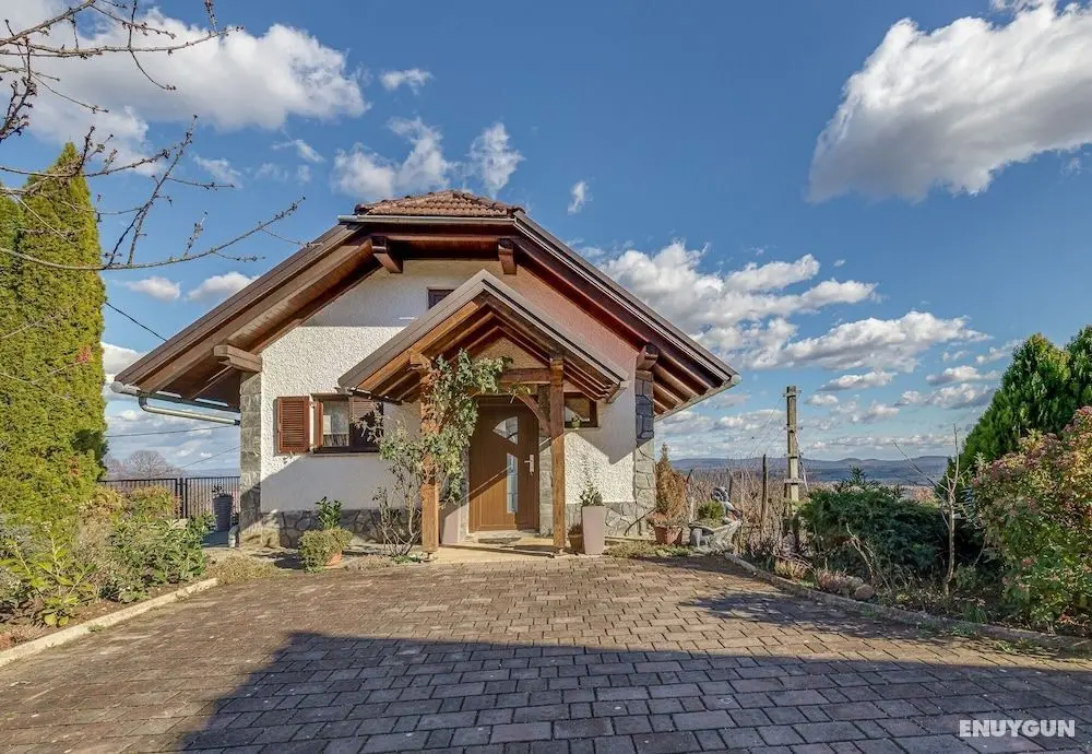 Family Friendly Vineyard House Bahor - Öne Çıkan Resim