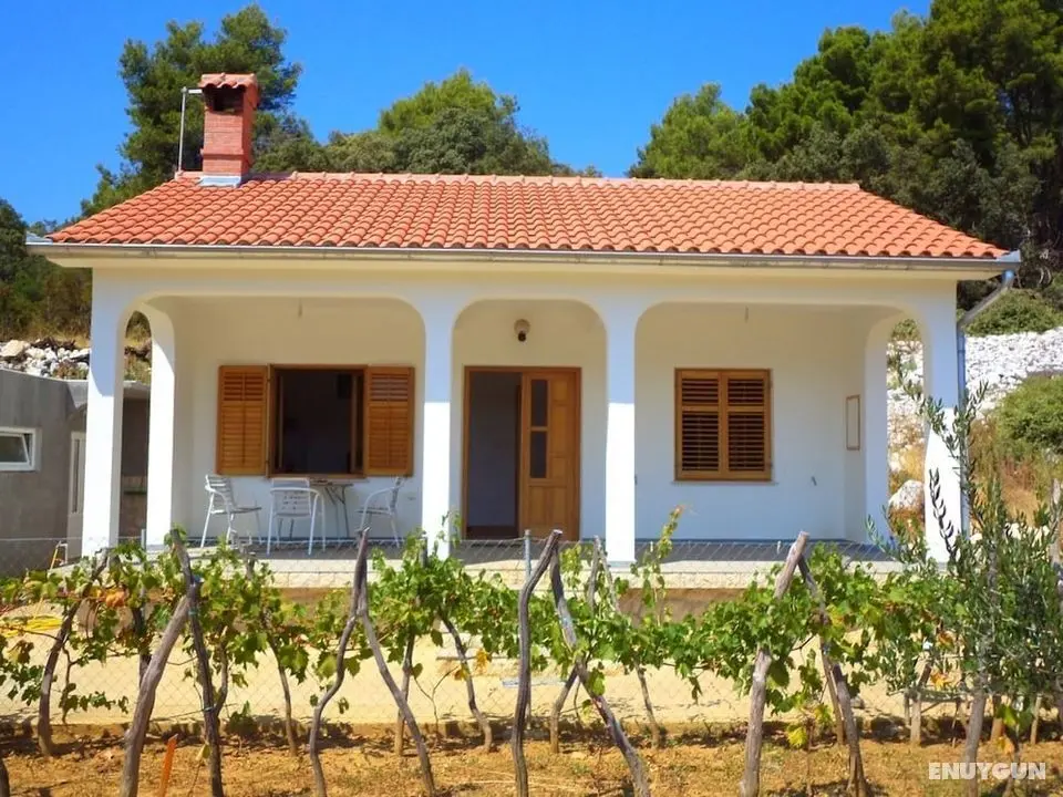 Fantastic House Near to the Beach - Öne Çıkan Resim