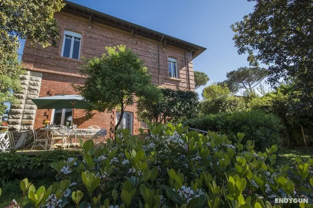 Fantastic Liberty Villa in the Heart of Versilia - Dış Mekan