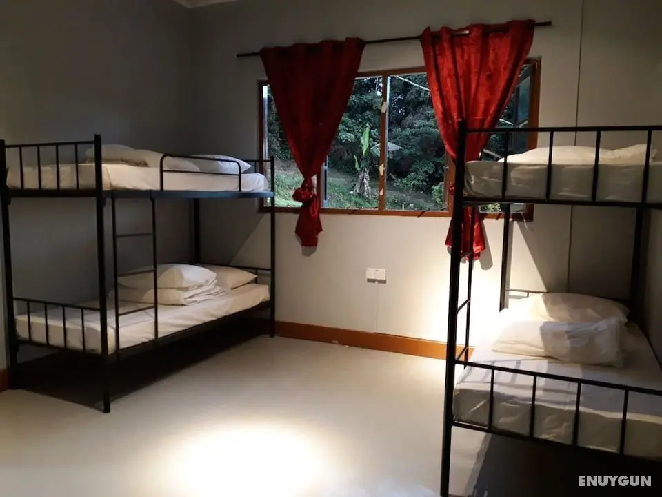 Farm Guest House - Öne Çıkan Resim