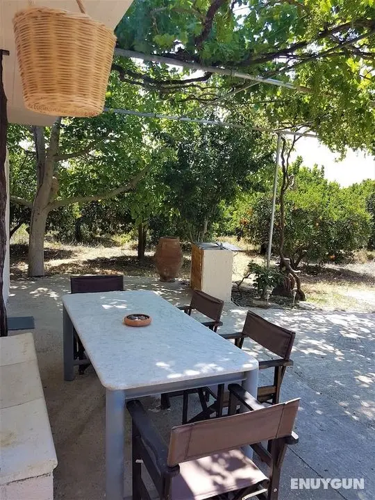 Farm House in Bio Orange Plantation - Öne Çıkan Resim
