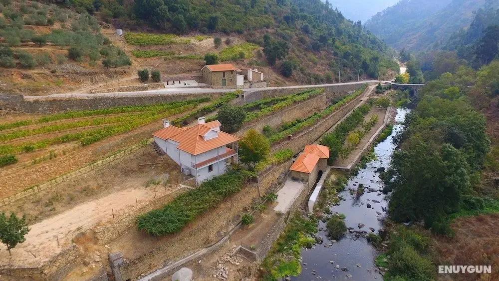 Farm Recião - House of Homemade - Öne Çıkan Resim
