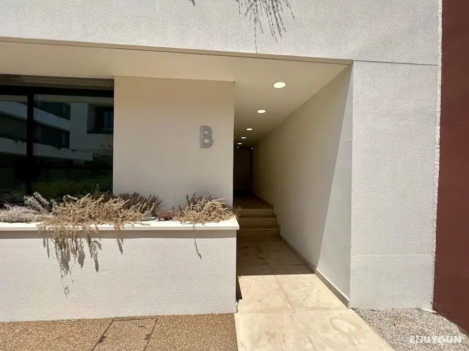 Faro Design VII by Homing - Oda