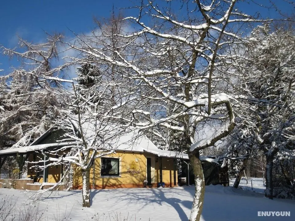 Fascinating Holiday Home in Walthersdorf With Roofed Terrace - Öne Çıkan Resim