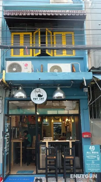 Fat Cat Hostel - Öne Çıkan Resim