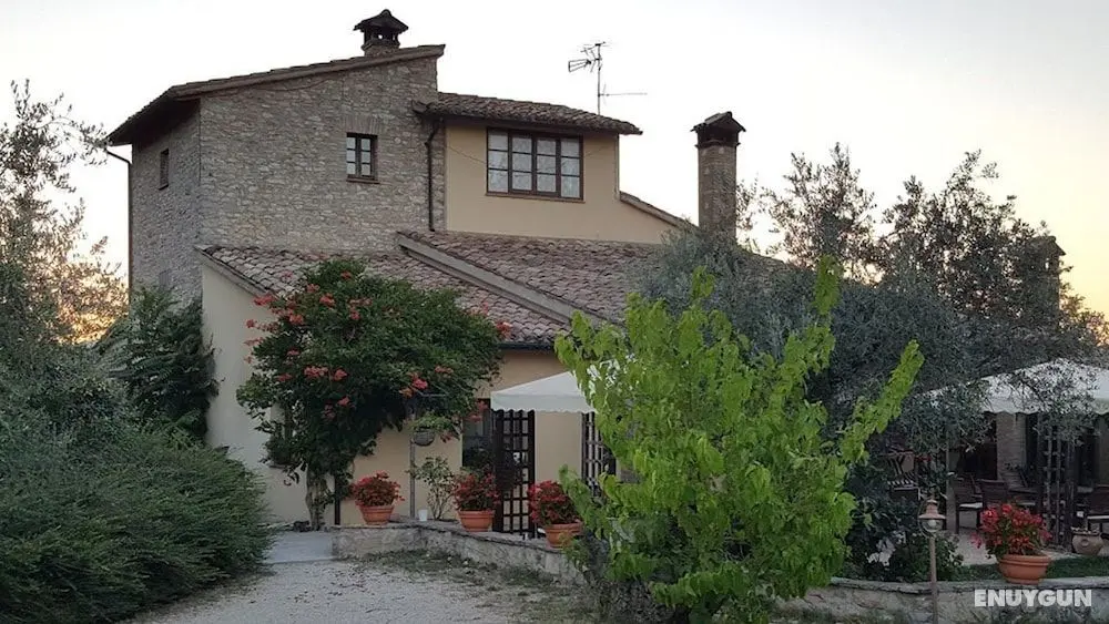 Fattoria Del Quondam - Dış Mekan