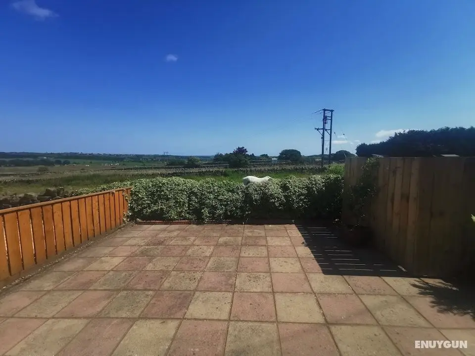 Fell View Cottage - Dış Mekanlar